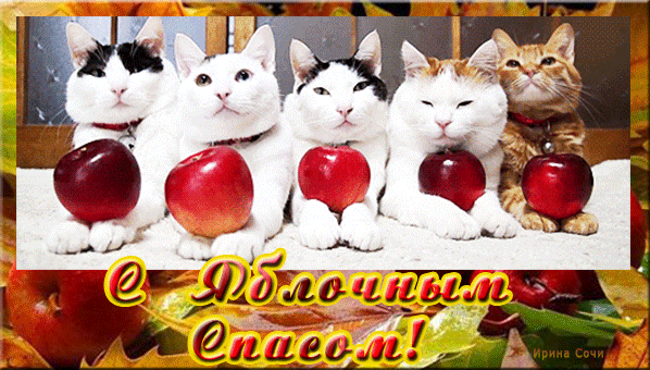 Красивая открытка с зелёными яблоками и церковью. Открытка с преображением Го...