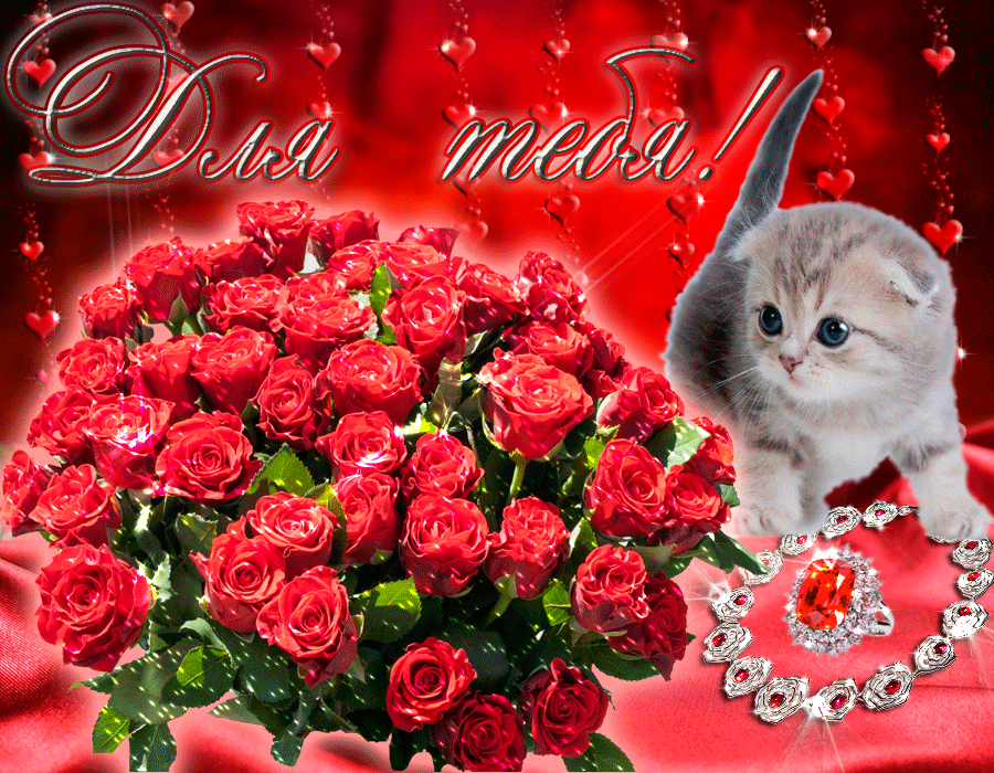 Красивые розы фото. Картинки розы красные. Розы фото скачать.