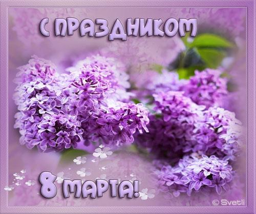 Открытка С Днём рождения С сиренью. Открытка на 1 Мая с сиренью.