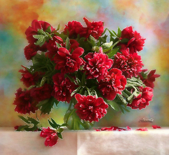 Открытка в День рождения с нежным букетом бело розовых пионов.