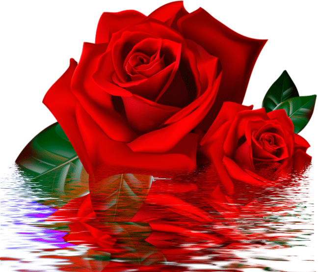 Открытки на 8 марта с красными розами. Мерцающие открытки красные розы в кувш...