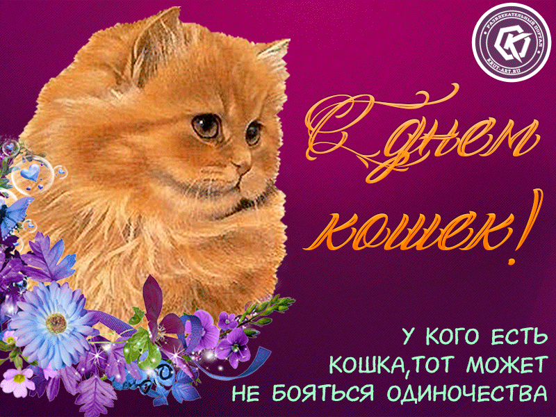 Всемирный день кошек поздравления. День кошек. День кошек открытки. Всемирный день кошек открытки. Поздравление с днем кошек.