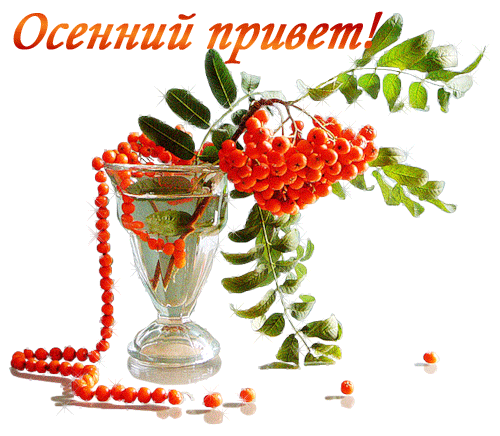 Прикольные открытки на каждый день. Картинки Привет прикольные. 