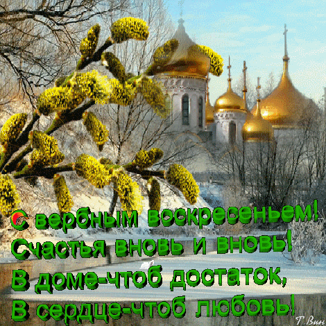 Картинки поздравления с вербным воскресеньем. Картинка с вербным воскресеньем...