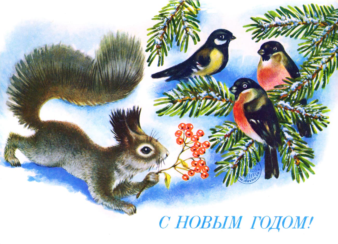 Картинка белочка с орешком. Картинка белочка с грибами. Белочка с корзиной ка...