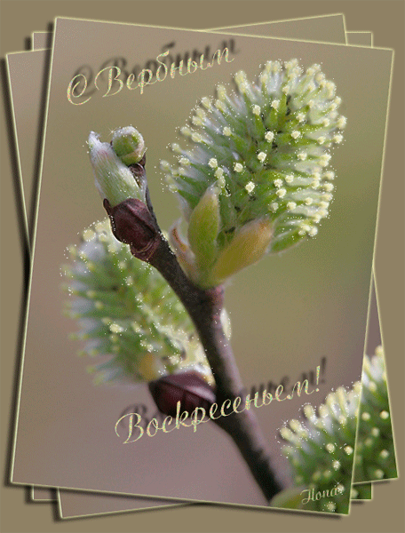 Открытка корзина голубых цветов и верба , с птицей на Вербное воскресенье.