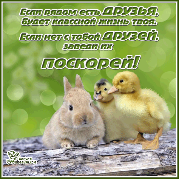 Смешные открытки для друзей. Картинки про дружбу с надписью.