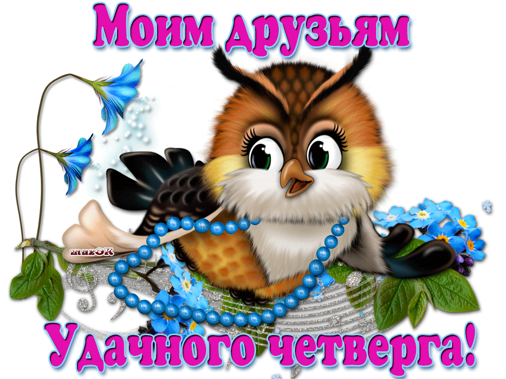 Бесплатные картинки с четвергом
