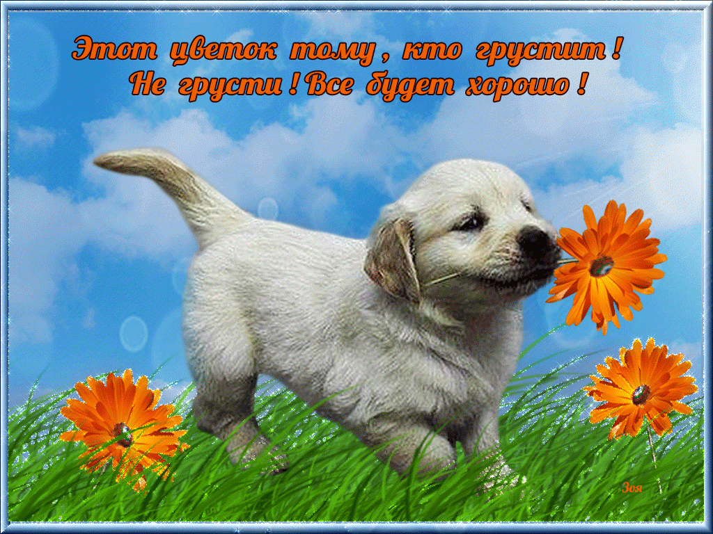 Открытка не грусти подруга. Открытки на тему не грусти. Открытки Не грусти вс...