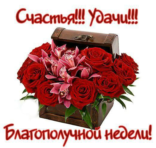 Картинки Легкого понедельника и удачной недели. Хорошего понедельника удачной...