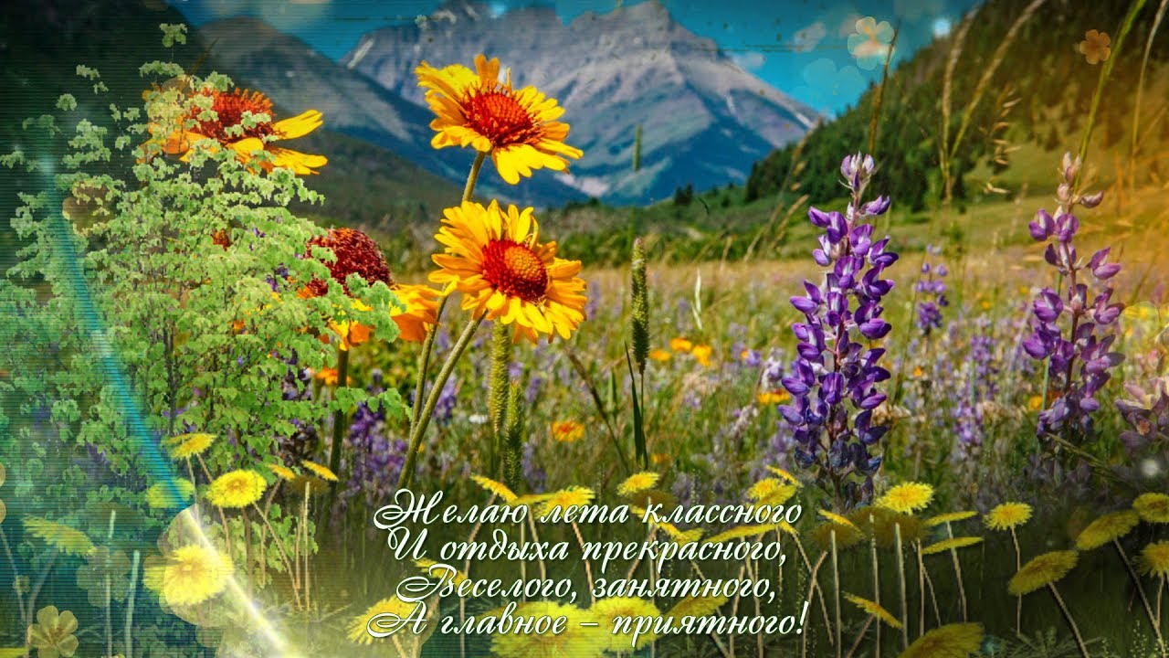 Скачать картинки С первым днем лето. Красивые картинки С первым днем лето.