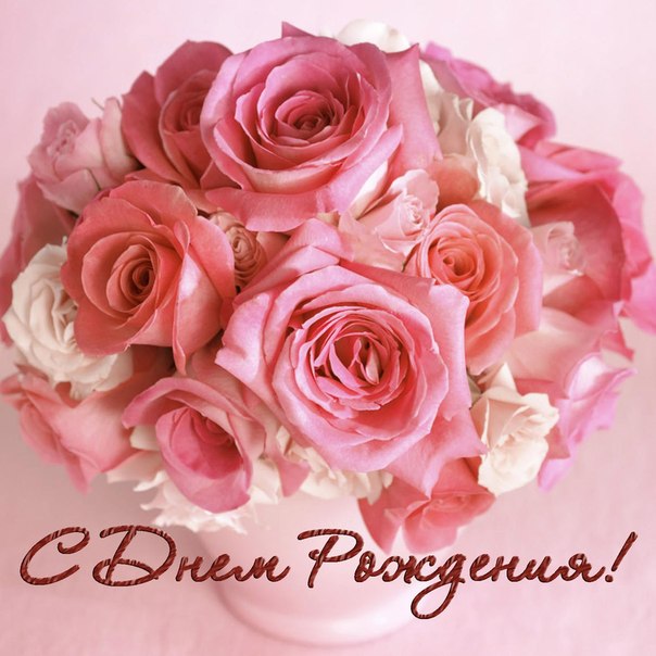Красивые картинки с розовыми розами. Картинка с розовыми розами.