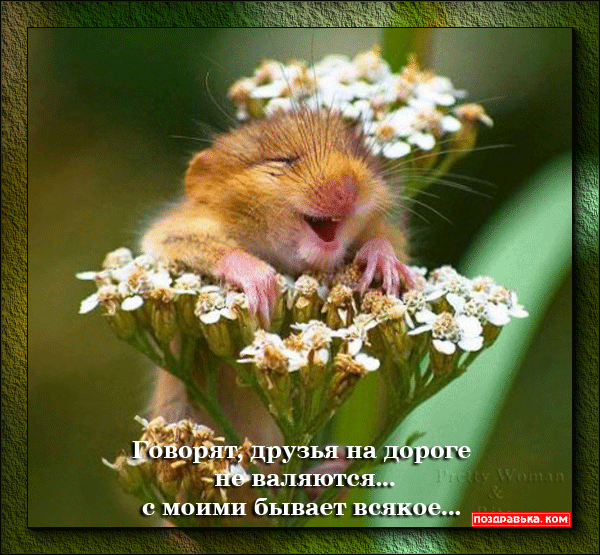 Открытки о дружбе и любви. Открытки о дружбе скачать. Открытки о дружбе прико...