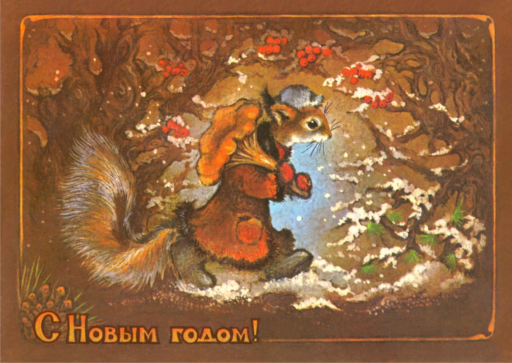 Картинка с белочкой. Красивые картинки с белочками. Смешные картинки с белочк...