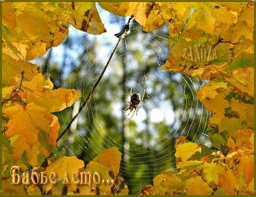 Открытка бабье лето. Картинки про бабье лето. Картинки на рабочий стол Бабье ...