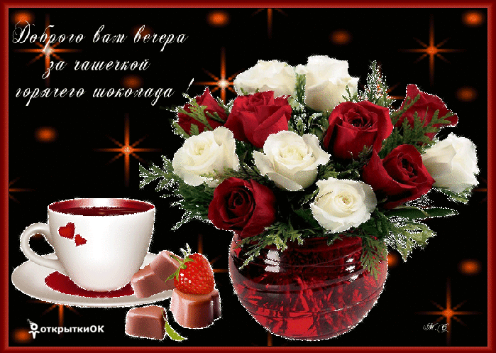 Открытка с мягкими игрушками Добрый вечер. Открытка с кошками Добрый вечер.