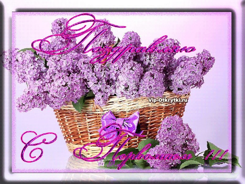 Скачать бесплатно сирень.  Открытки С днём рождения с сиренью.