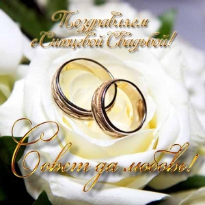Картинка поздравления с ситцевой свадьбой. Картинка птицы на свадьбе.