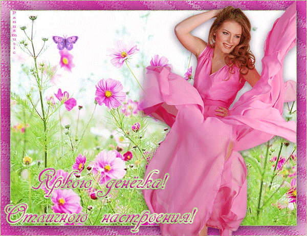 Открыл к бабочка машет крыльями, я мерцающая открытка с космеями и бабочкой.