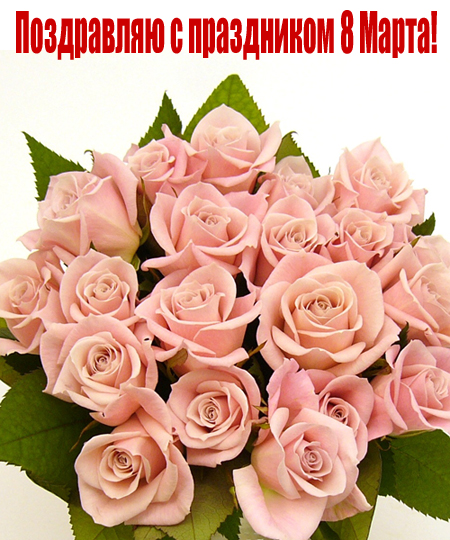 Открытки поздравляю с праздником 8 марта! Открытка с букетом розовых роз. Отк...