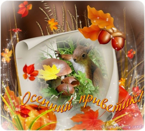 Прикольные открытки на каждый день. Картинки Привет прикольные. 