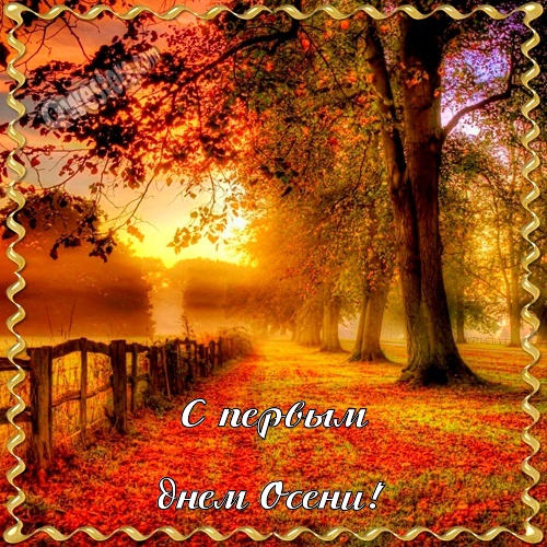 С первым днём осени. Пожелания теплой осени. Открытка с осенними деревьями с ...