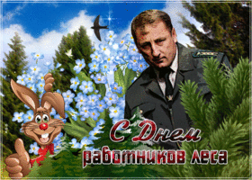 Открытки С днём работников леса. Открытки С днём работников леса анимация.