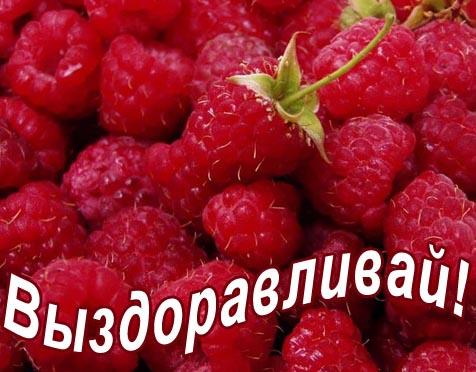 Открытки с ягодами. Открытки с ягодами и цветами. Открытка торт с ягодами, с ...