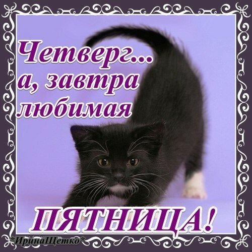  Открытки с детьми про четверг. Открытки с собаками про четверг.
