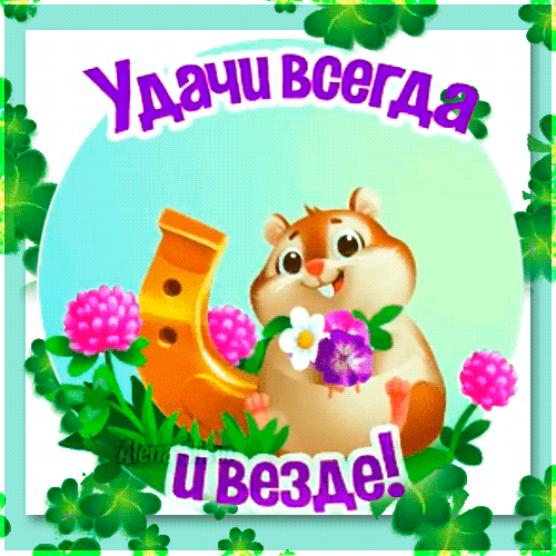 Всем желаю удачи картинки