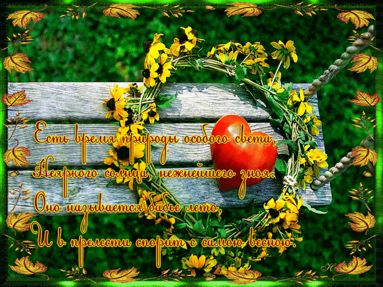 Картинки Бабье лето прикольные. Картинки смешные про бабье лето.