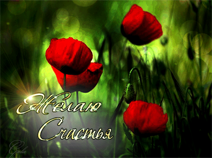 Картинки с днем счастья 20 марта 2020. Картинки с днем счастья любимому.