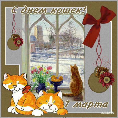 Открытка Всемирный день кошек 8 августа. Красивые картинки с днем кошек. 