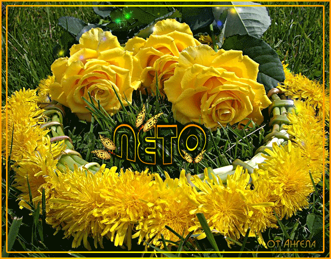 Открытка белый одуванчик под палящим солнцем. Открытка с днём рождения, с жёл...