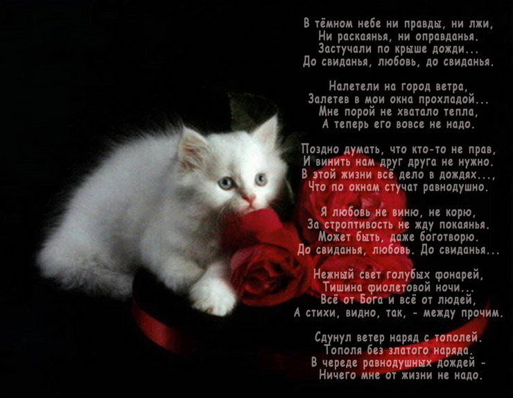 Красивые картинки про любовь со стихами фото. Картинки про любовь со стихами ...