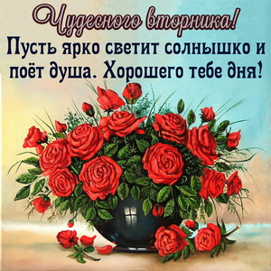 Открытка с пожеланиями Счастливого вторника. Открытка со стихами про вторник.