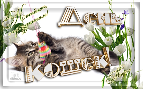 Прикольные открытки с Днем кошек. День кошек в России открытки.