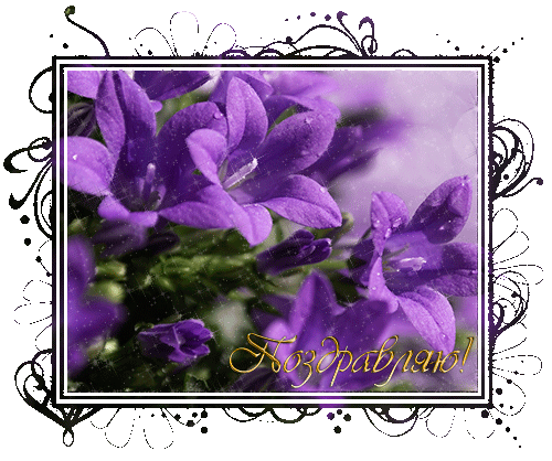 Открытки скачать бесплатно на поздравляю.  Бесплатные поздравления открытки.