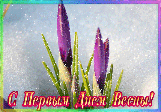 Открытка Спасибо что есть на земле чудеса, мерцающий фиолетовый Крокус.