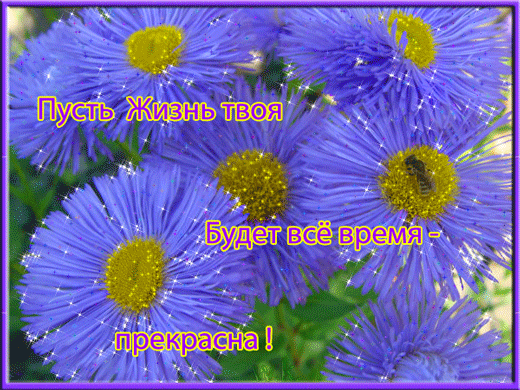 Открытка Астры для тебя. Ретро открытка С Днём рождения С астрами.