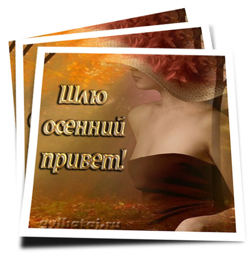 Открытка Приветик тебе букетик. Открытка Привет красотка.   