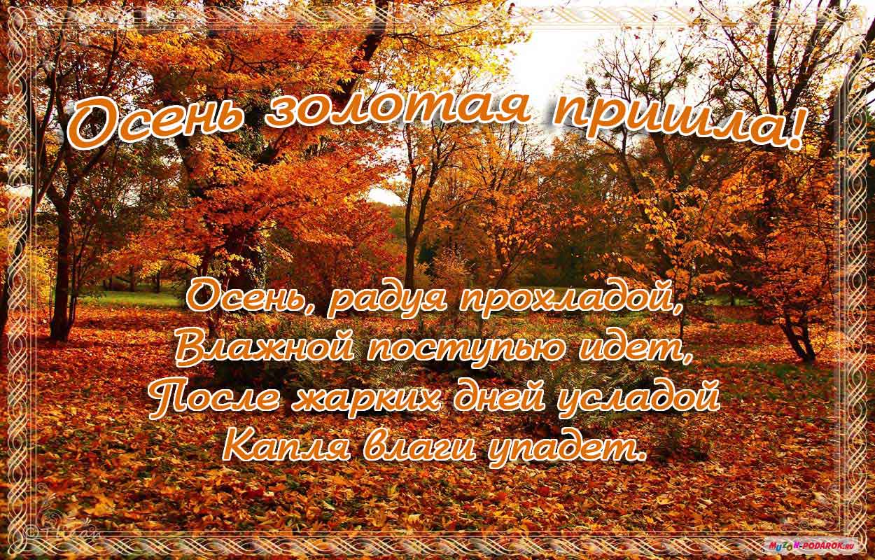 Скачать бесплатно открытки С первым днём осени. открыткам поздравления с перв...