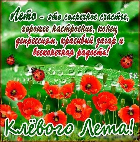 Открытка Поздравляю с нарисованными красными маками.  Векторная картинка крас...