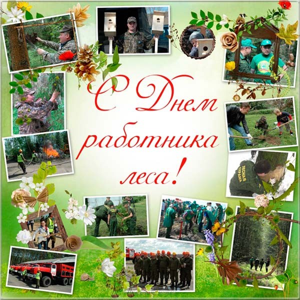 здесь поздравление с днем лесника в газете живую шлем