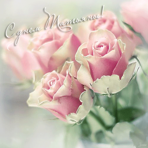 Картинки на Татьянин день скачать. Картинки с поздравлением Татьянин день. 