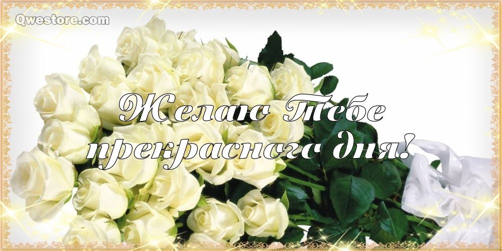 Картинки с белыми розами скачать. Красивые картинки с белыми розами.