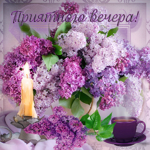 Открытки картинки с сиренью. Открытки Доброе утро с сиренью.