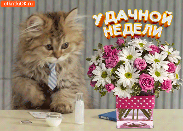 Отличной весенней недели картинки