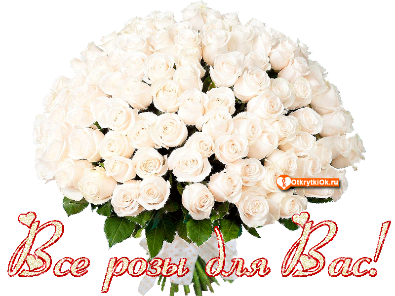 Шикарные Белые розы фото. Белые розы фото букет. Фото Белые розы в вазе.