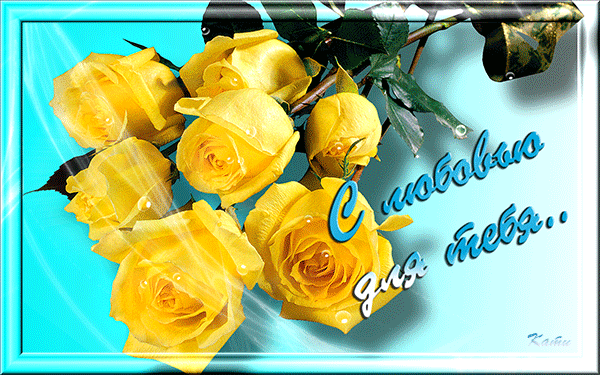 Скачать красивые розы желтые. Желтые розы сорта фото. Желтые розы фото в хоро...